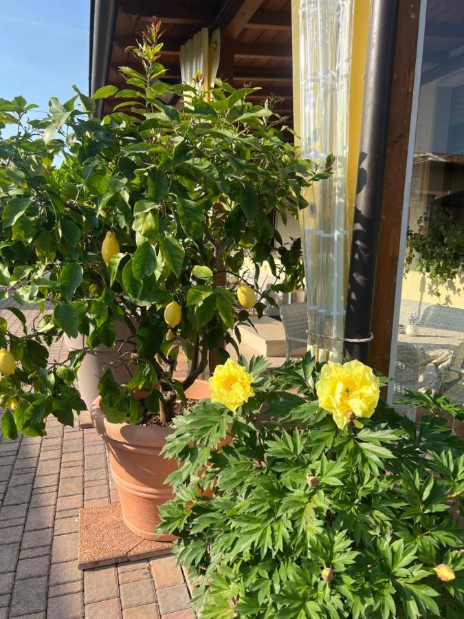 Hotel La Mimosa Lazise Exterior foto